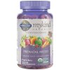 Garden of Life - Mykind Organics Prenatal Multi Gummies