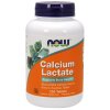 NOW Foods - Calcium Lactate - 250 tablets