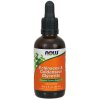 NOW Foods - Echinacea & Goldenseal Glycerite - 60 ml.
