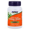 NOW Foods - Ginkgo Biloba Double Strength