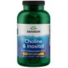 Swanson - Choline & Inositol - 250 caps