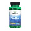 Swanson - GABA