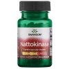 Swanson - Nattokinase