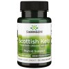 Swanson - Scottish Kelp