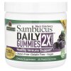 Nature's Answer - Sambucus Daily Gummies 2X Strength