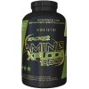 Amino Xplode 10