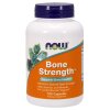 Bone Support¹