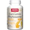 Curcumin Phytosome (Meriva)