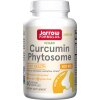 Curcumin Phytosome (Meriva)