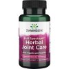Full Spectrum Herbal Joint Care - 60 caps