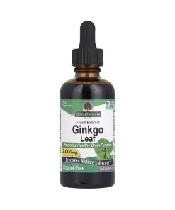 Ginkgo Leaf