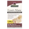 Lion's Mane