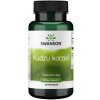 SWANSON Kudzu 500mg 60kaps