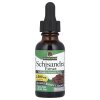 Schisandra Extract