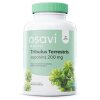 Tribulus Terrestris